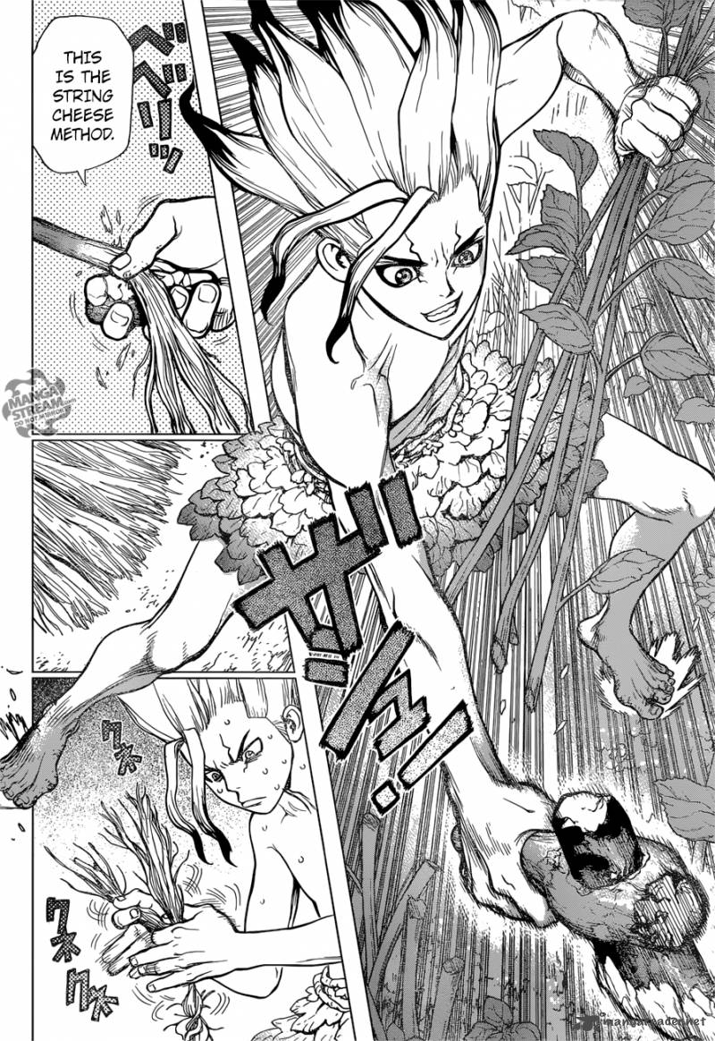 Dr. Stone Manga Chapter 13 page 13 - Part 1: Stone World: The Beginning scene