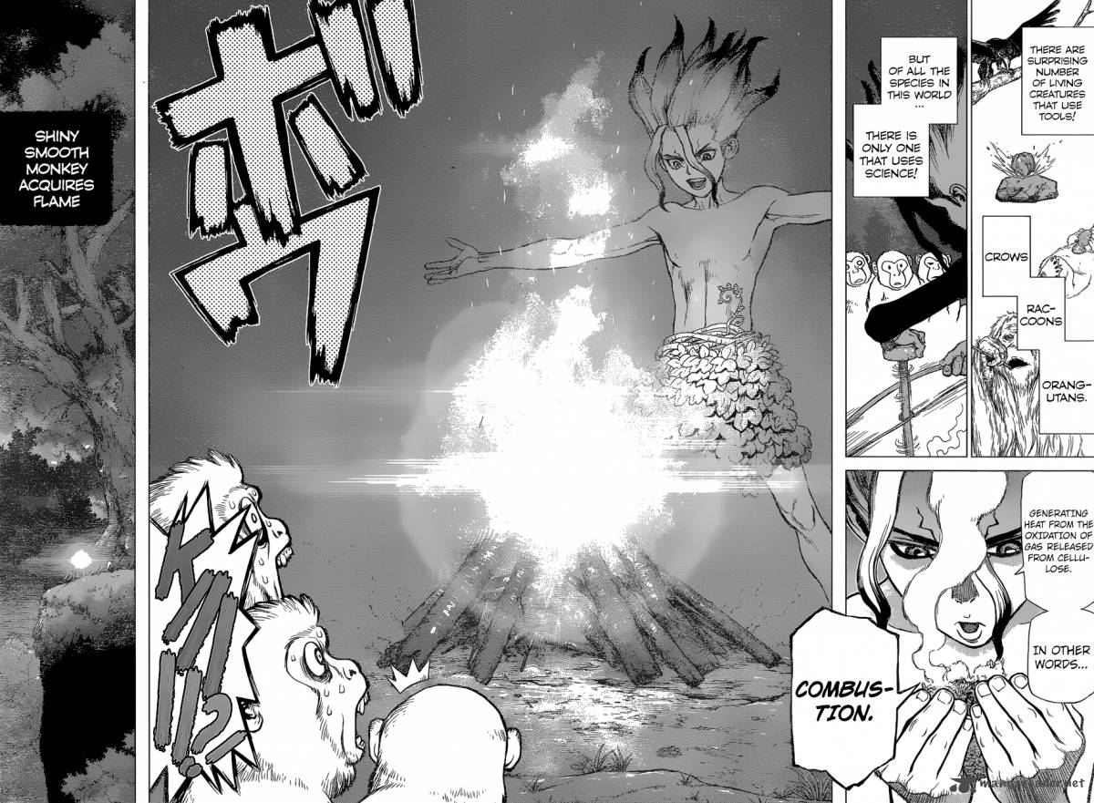 Dr. Stone Manga Chapter 13 page 15 - Part 1: Stone World: The Beginning scene