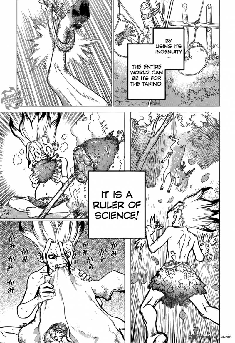 Dr. Stone Manga Chapter 13 page 17 - Part 1: Stone World: The Beginning scene