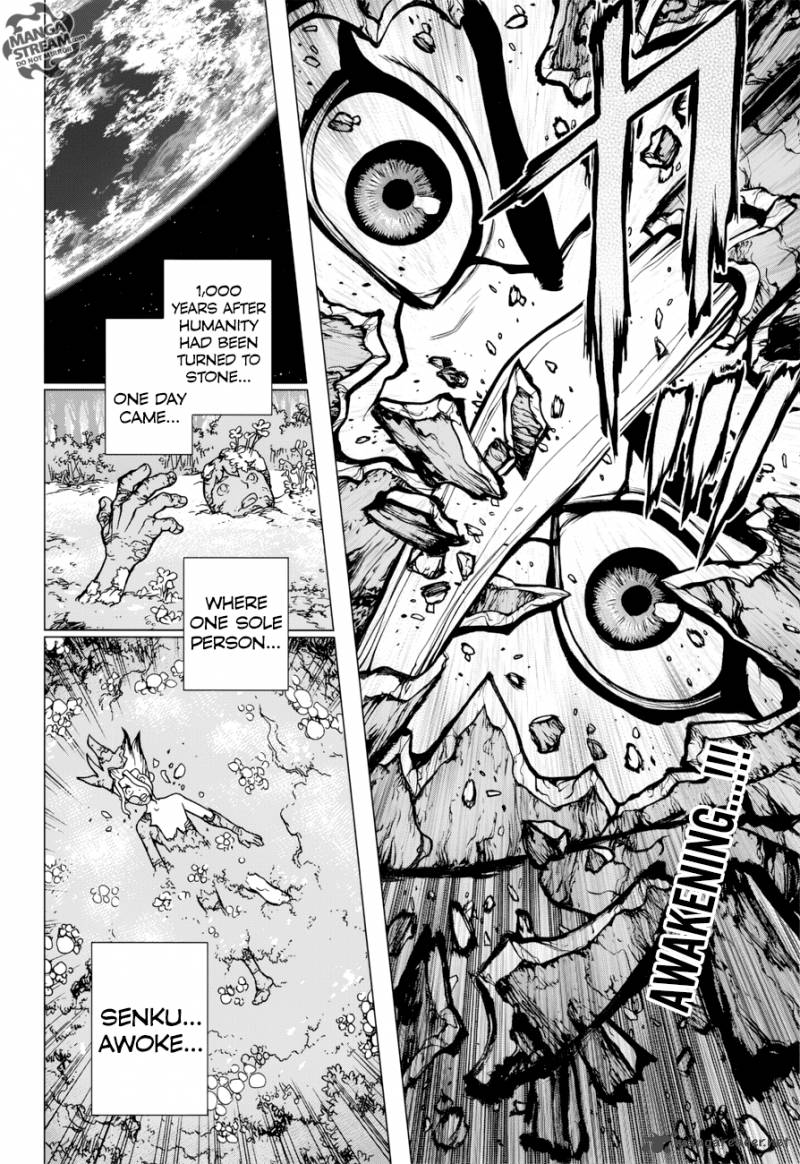 Dr. Stone Manga Chapter 13 page 2 - Part 1: Stone World: The Beginning scene