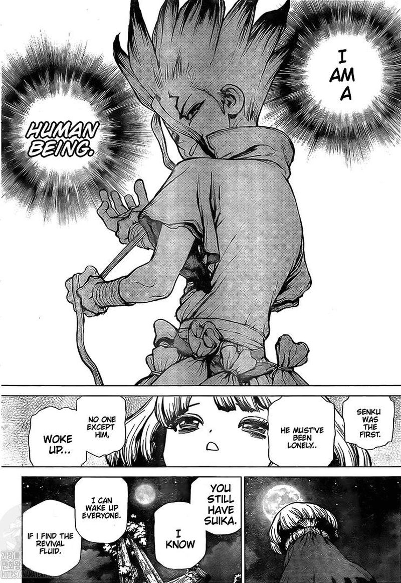Dr. Stone Manga Chapter 194 page 15 - Homo Sapiens, All Alone scene