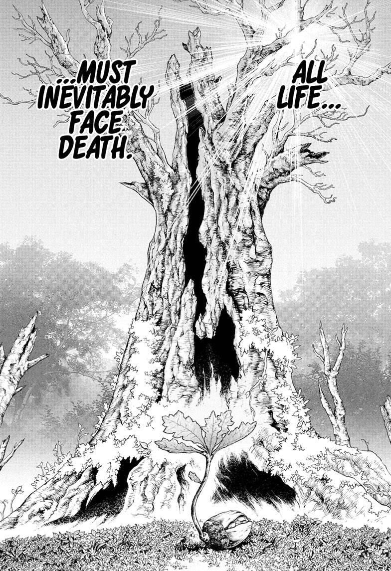 Dr. Stone Manga Chapter 230 page 1 - Human scene