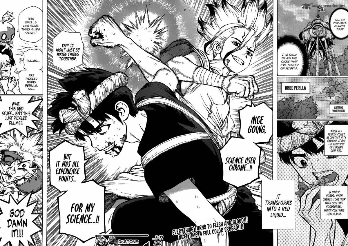 Dr. Stone Manga Chapter 72 page 16 - Experience Points scene
